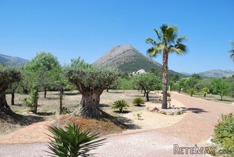Beautiful finca in one of the best positions in the Jalon.. - 5