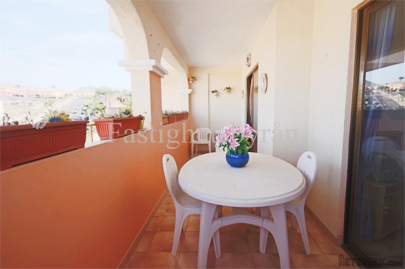 Los Cristianos | Teneriffa - 2