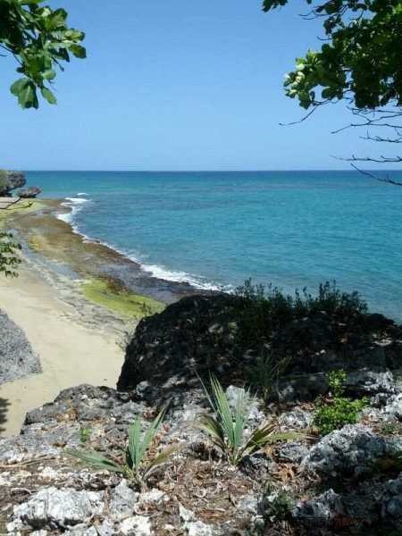 Oceanfront Lot In Prestigious Community.. - 2