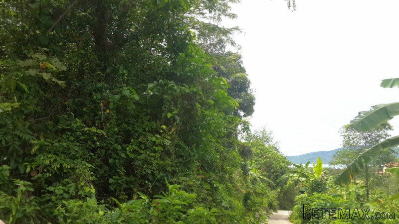 2.5 Rai in Rawai for Villa Project - 2
