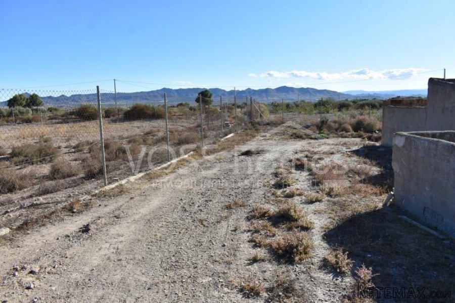 EXCLUSIVE LISTING TO VOSS HOMES - BARGAIN Large country.. - 6