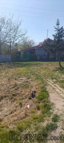 Prodajem kuću u selu Iđoš