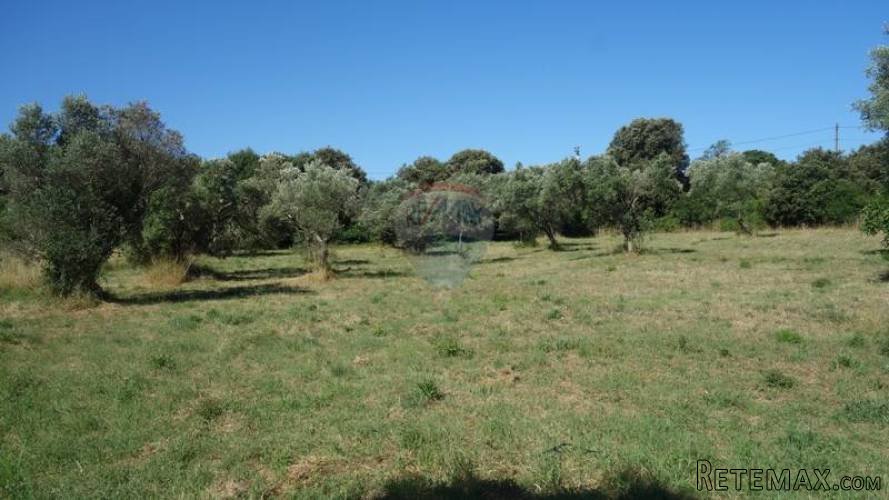 Fažana, Štinjan, građevinsko zemljište - 2