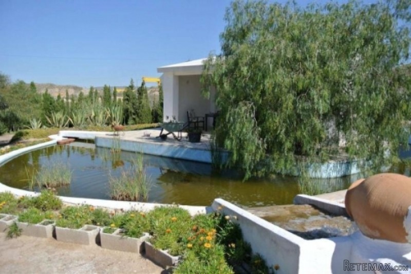 Novelda - 7 Bedroom Country House For.. - 2