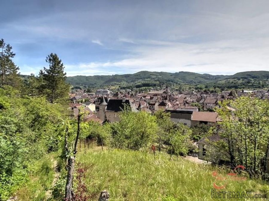 St Céré (Lot) - Chateau 'en-ville' with numerous options. L.. - 4
