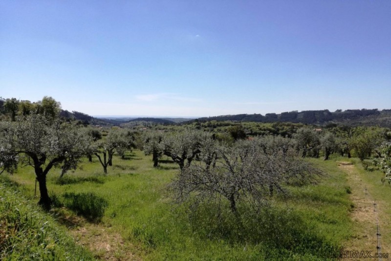 Land Plot With Possibility to Build -..