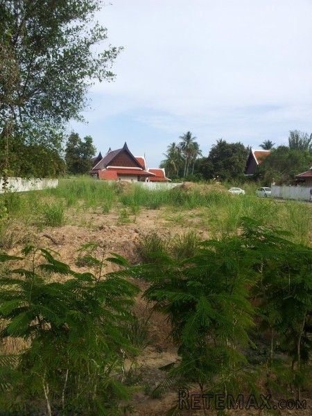 1 Rai Flat Land in Rawai