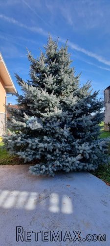 Varaždin, Dubrava Križovljanska, kuća, velika okućnica, 2 ga.. - 9
