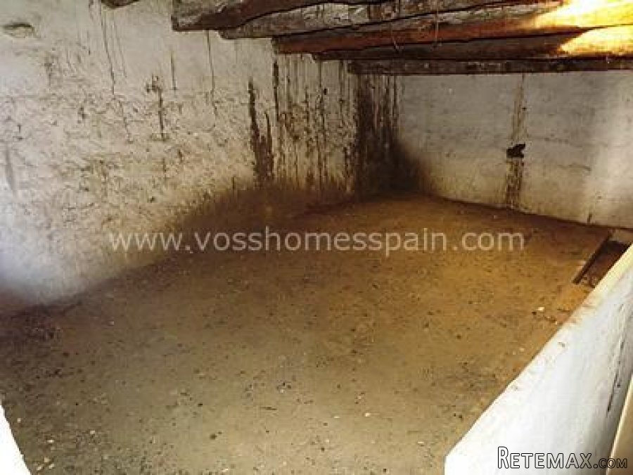 A potentially lovely and large 3 bed, 1 bath semi.. - 10