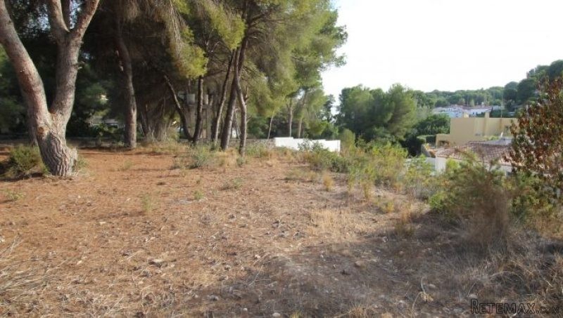 0 Bedroom 0 Bathroom Large plot for.. - 2