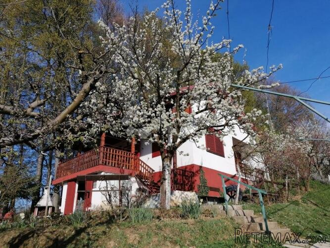 Mirna lokacija i potpuna privatnost - vikendica s vinogradom