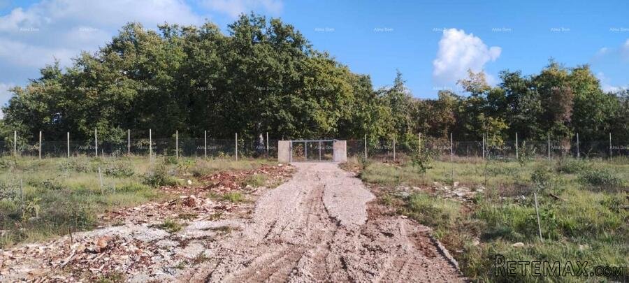 Prodaja velikog građevinskog zemljišta sa kućom i gr.. - 2