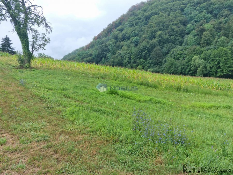 Varaždin, Donja Voća, kuća gosp. zgrade, voćnjak i šuma - 4