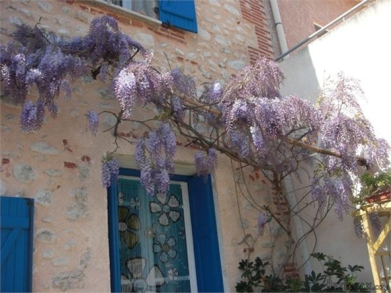 Charming Village House Close To All.. - 2