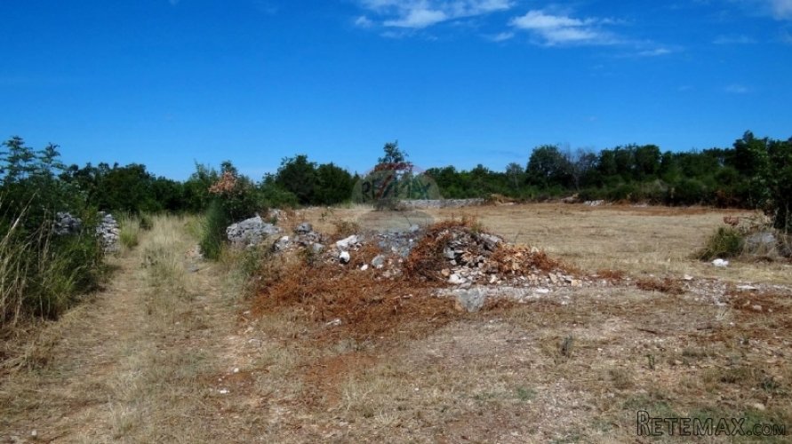 VODNJAN OKOLICA,ZEMLJIŠTE ZA MASLINIK SA POGLEDOM NA MORE - 3