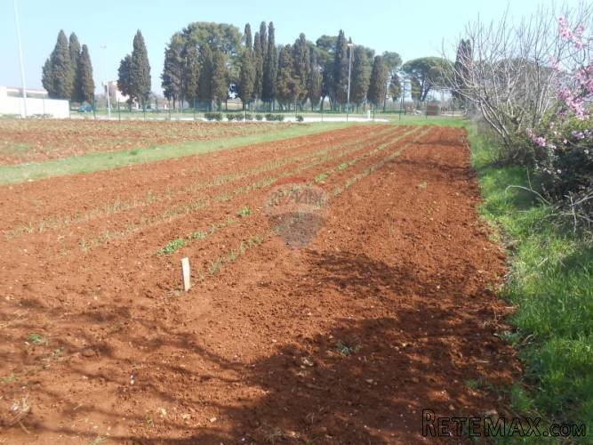 Istra, Vodnjan, građevinsko zemljište na mirnoj lokaciji - 4