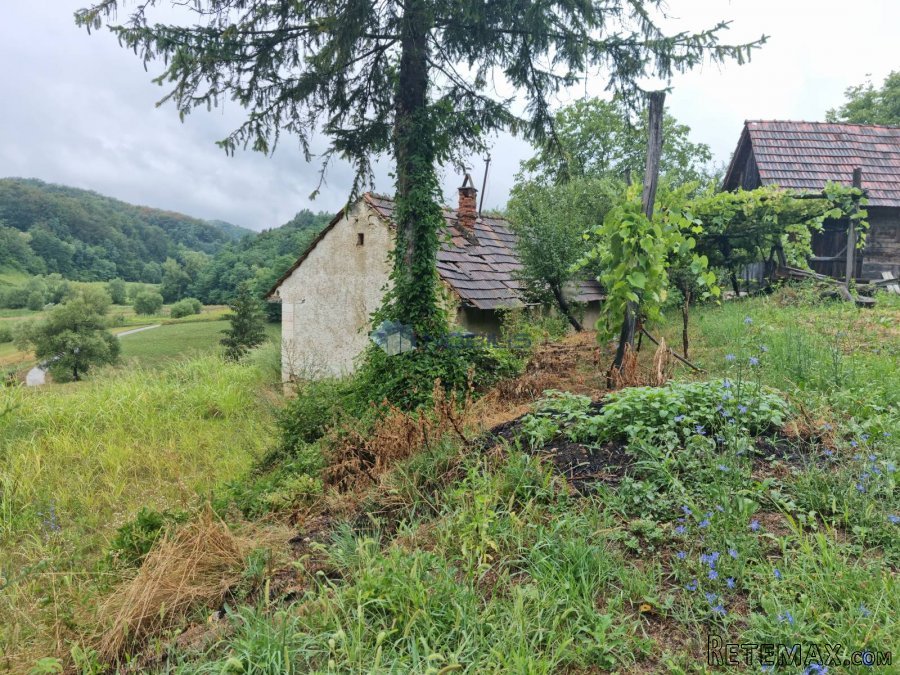 Varaždin, Donja Voća, kuća gosp. zgrade, voćnjak i šuma - 8