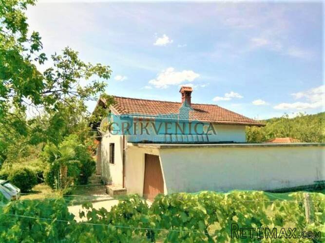 Boljun - samostojeća kuća s 4.000 m2 okućnice - 2