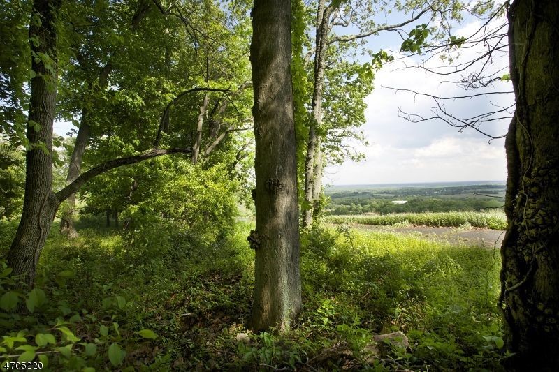Land For Sale: 115 Old Turnpike Rd - 2