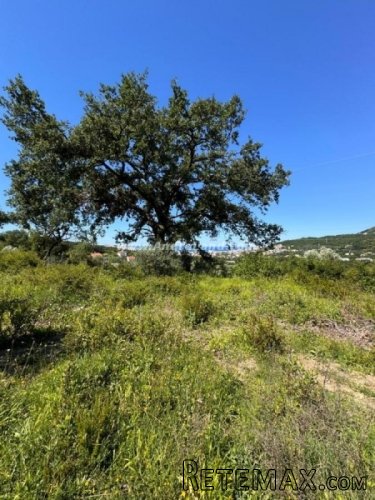 Plac, Bjelisi, Bar, 460.000Eur - 3