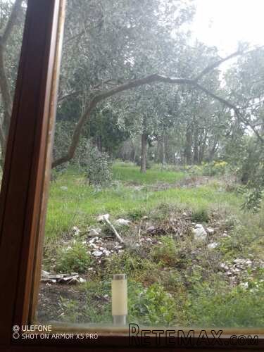 Odlicna kuca na Policama, Trebinje - 9