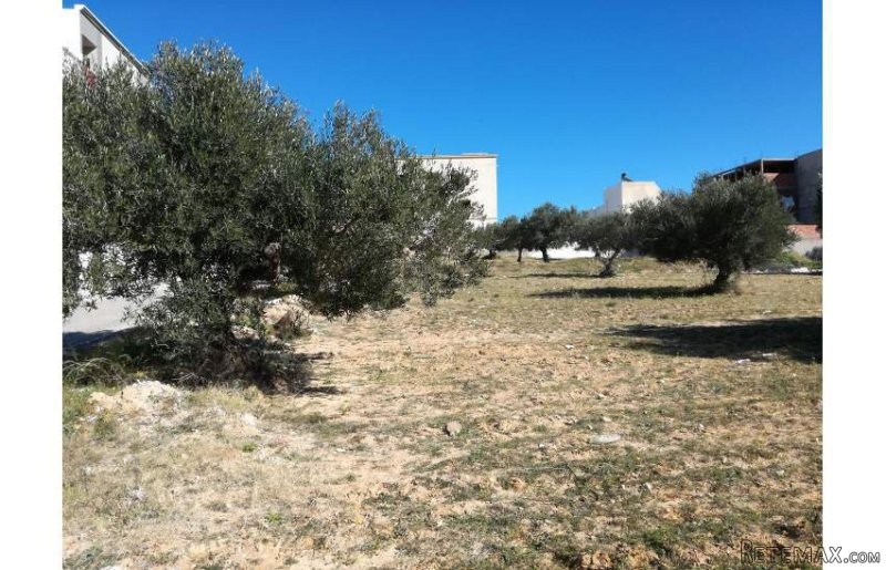 TERRAIN CONSTRUCTIBLE - 2