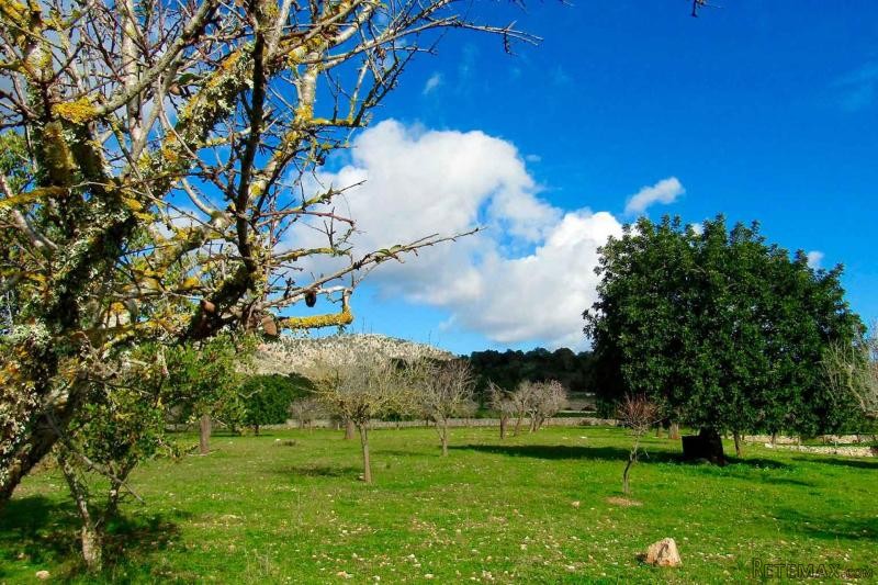 Wonderful and quiet plot with nice view..