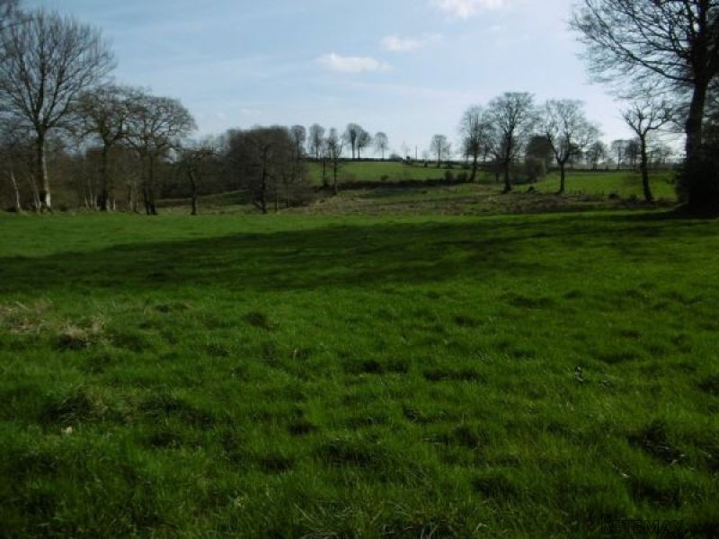Superb Detached Country House - 2