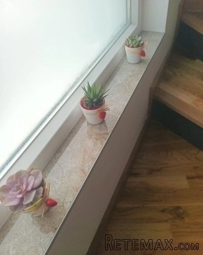 Prodajem luksuznu kucu u Novom Sadu - 12