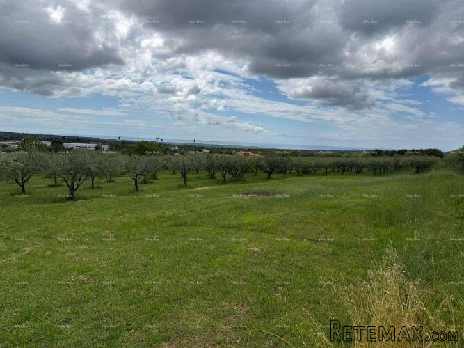 GRAĐEVINSKA PARCELA S POGLEDOM NA MORE – LABINCI - 3