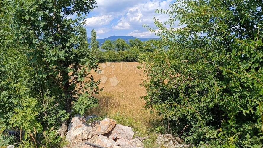 Čavle, zemljište 3500 m2 sa građevinskom dozvolom - 2