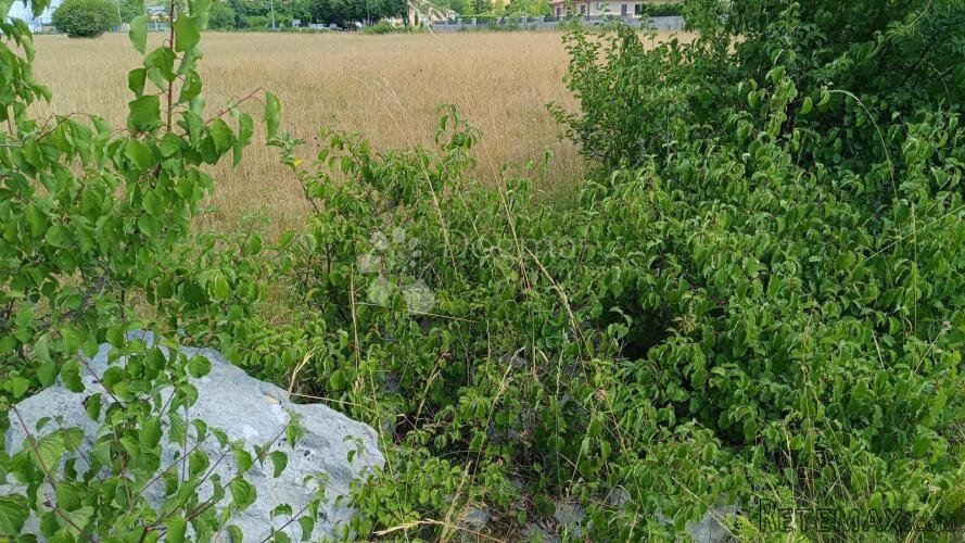 Čavle, zemljište 3500 m2 sa građevinskom dozvolom - 3