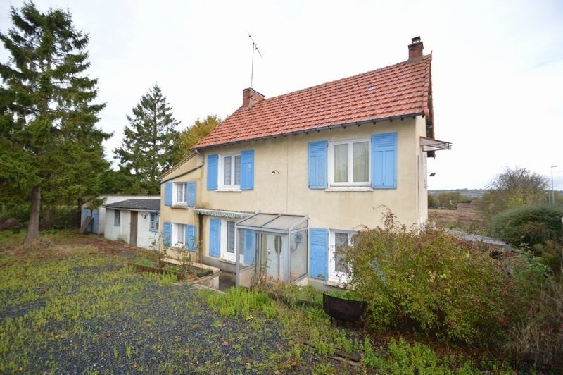 Nice House in Need of Some Work