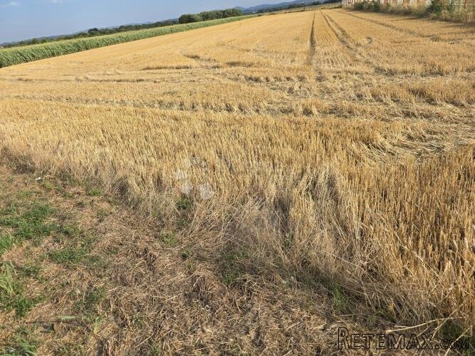 Zemljište uz glavnu cestu između Varaždina i Trnovca – 4310 - 3