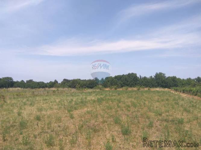 Istra, Kanfanar- građevinsko zemljište 3160m2 - 4