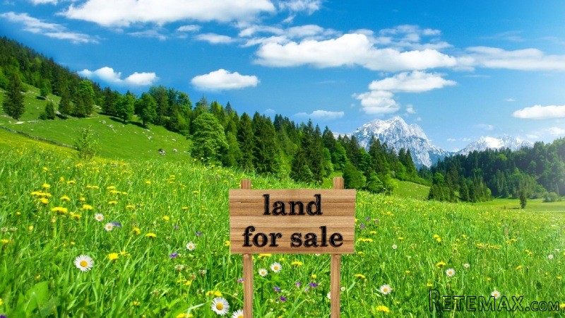 Plot In Hollersbach