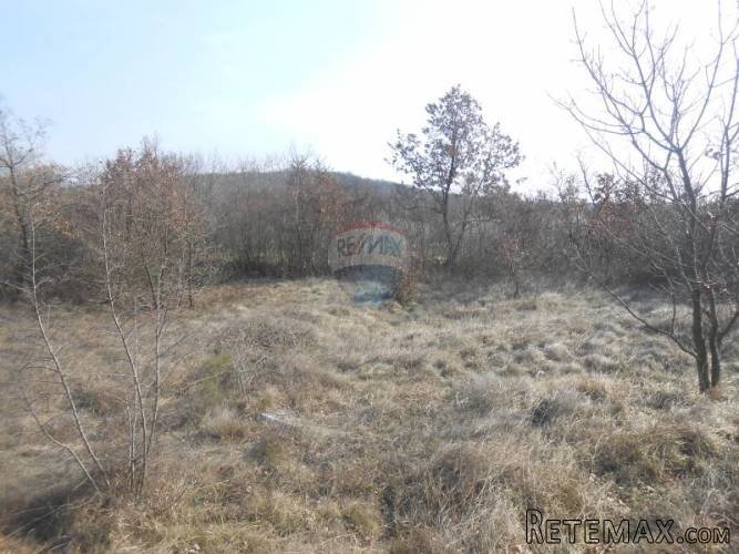 Istra, okolica Rovinja, Sošići, poljoprivredna parcela - 2