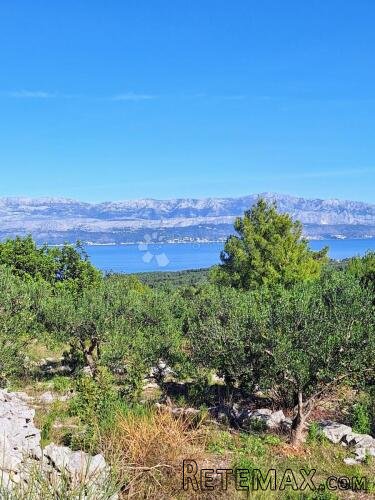 POLJOPRIVREDNO ZEMLJIŠTE NA ODLIČNOJ LOKACIJI – MIRCA, BRAČ
