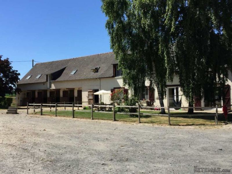4 Bedrooms - Haras / Equestre - For Sale - 2
