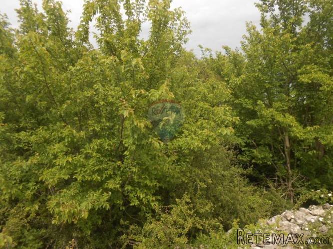 Istra, Vodnjan, Poljoprivredno zemljište u blizini grada - 3