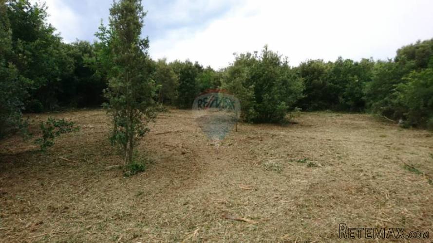Istra,Vinkuran - Vikend parcela - 3