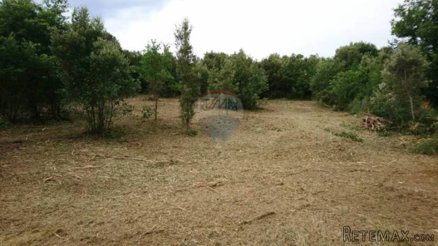 Istra,Vinkuran - Vikend parcela - 4