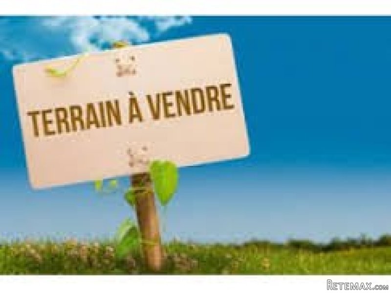 un Terrain a tantana chat meriem vue..