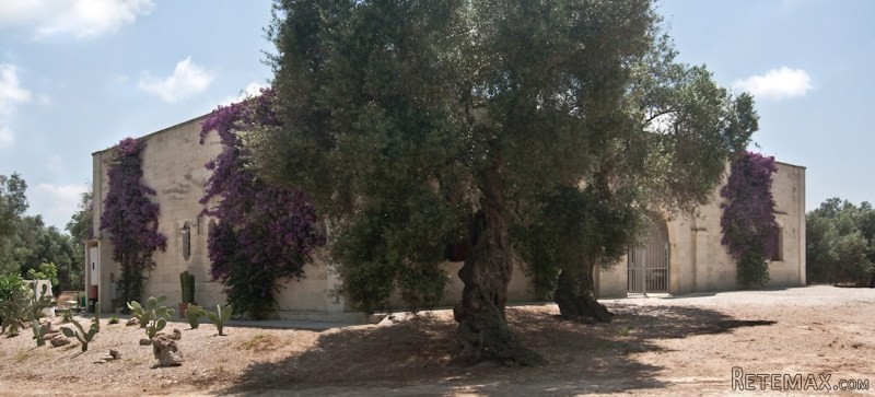 Villa Masseria Pugliese - 2