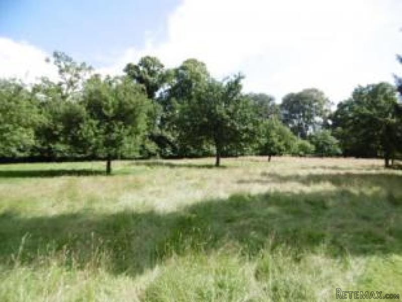 Nice 3 Bed Rural House - 2
