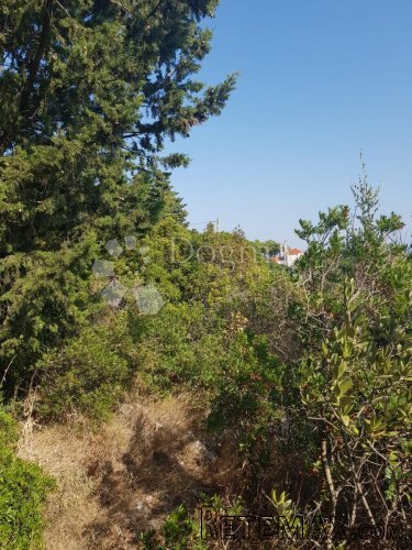 GRAĐEVINSKO ZEMLJIŠTE U MJESTU GROHOTE, OTOK ŠOLTA - 9