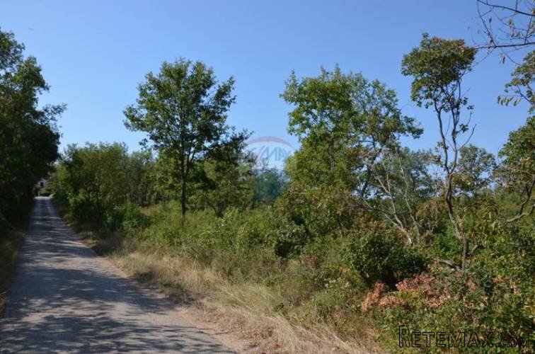 Buje okolica, građevinsko zemljište od 3908 m2