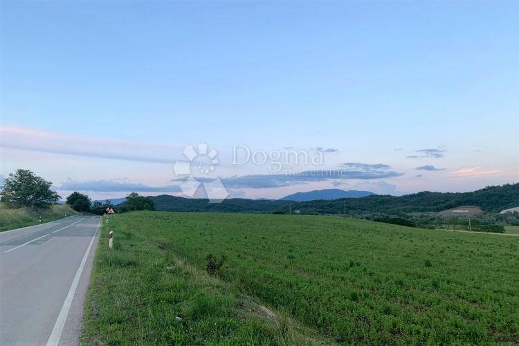 CEROVLJE – kompleks pašnjaka, oranica i šuma - 2