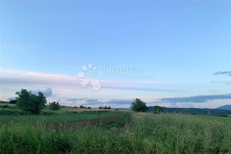 CEROVLJE – kompleks pašnjaka, oranica i šuma - 3