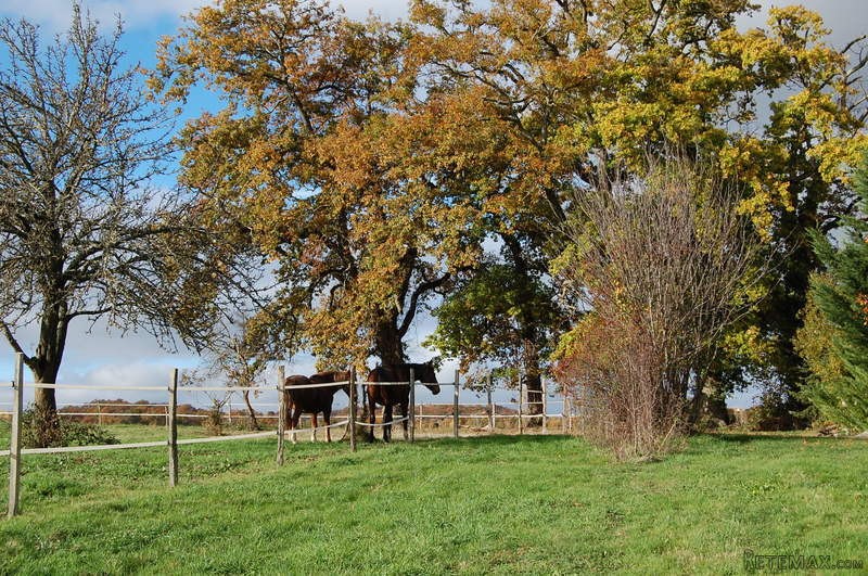 Villa With 2nd House, Gite And Various.. - 2